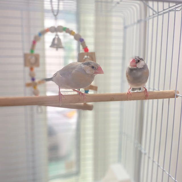 m.Reikoさんの部屋