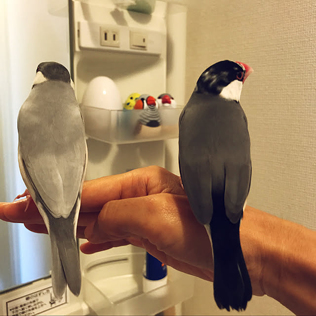 mokiさんの実例写真