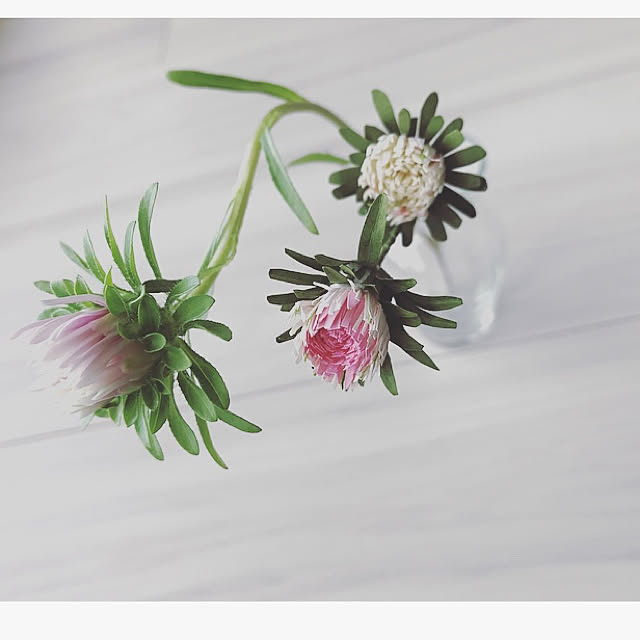 maki_papercraftさんの実例写真