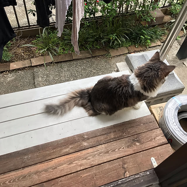 masakoさんの実例写真