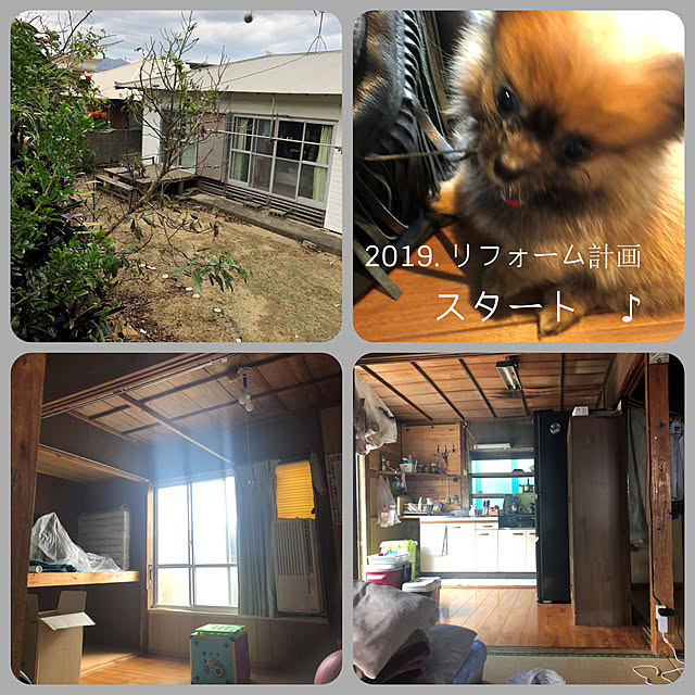 cya_maruさんの実例写真