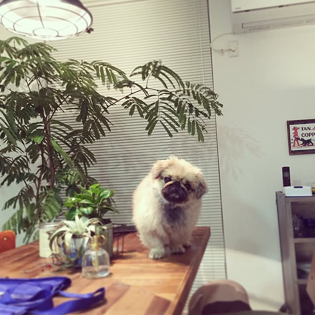 Eijiさんの実例写真