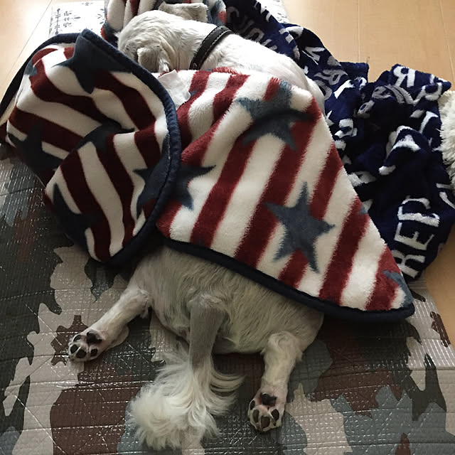 emiさんの実例写真