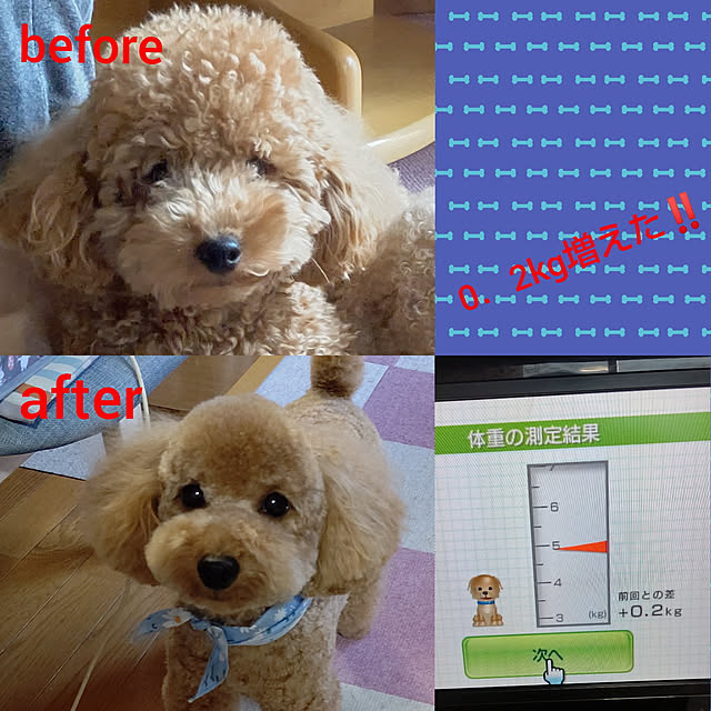 yumirinさんの実例写真