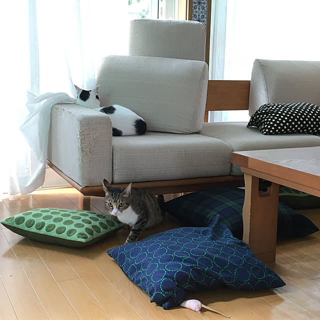 nobikoさんの実例写真