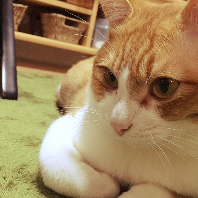 mymmさんの実例写真