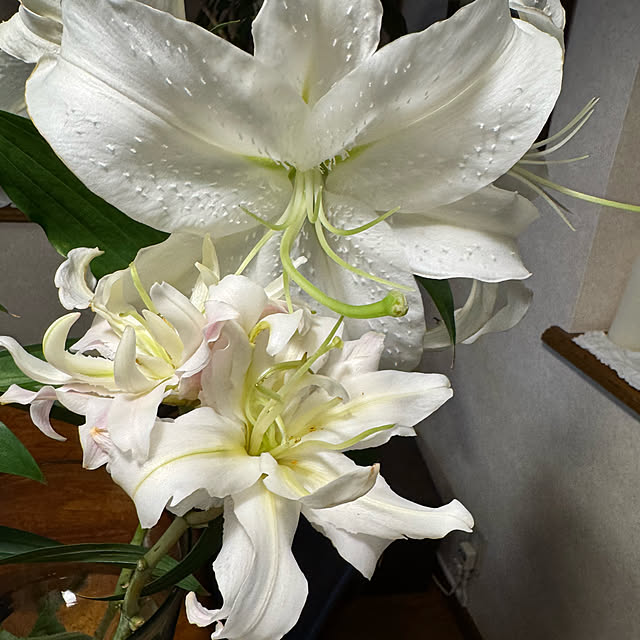 mamizaさんの部屋