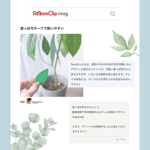 Saraさんの実例写真