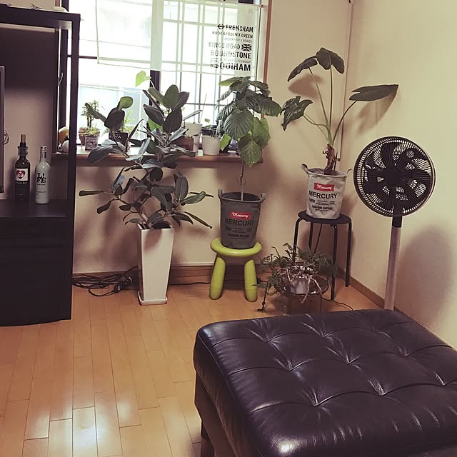3434xxさんの実例写真