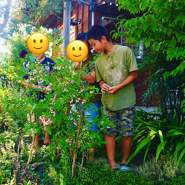 Erikoさんの部屋