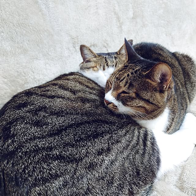 nachiさんの部屋