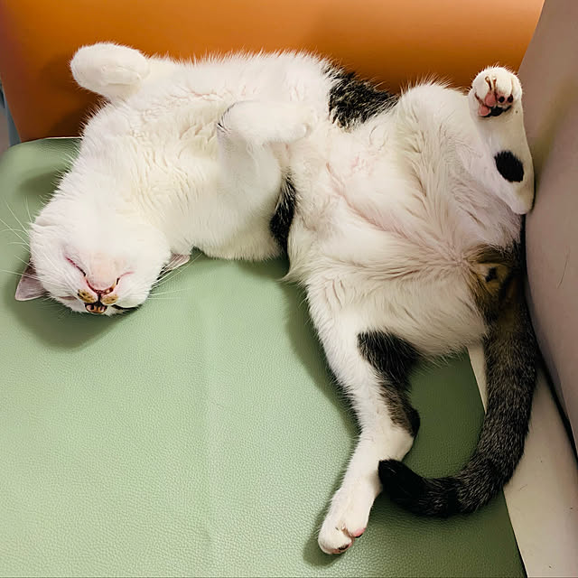 pcu110さんの実例写真