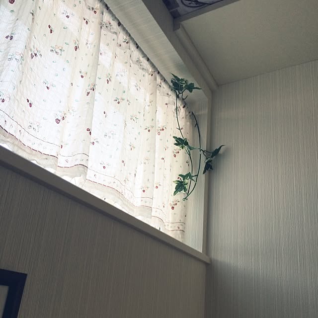 yuko1164さんの実例写真