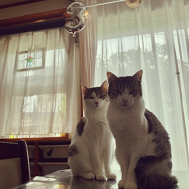Lufuさんの実例写真