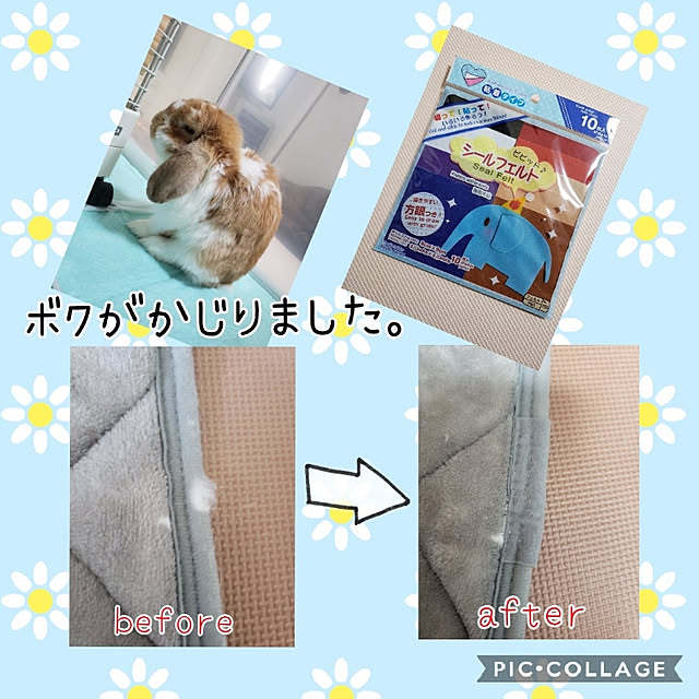 m_geneさんの実例写真