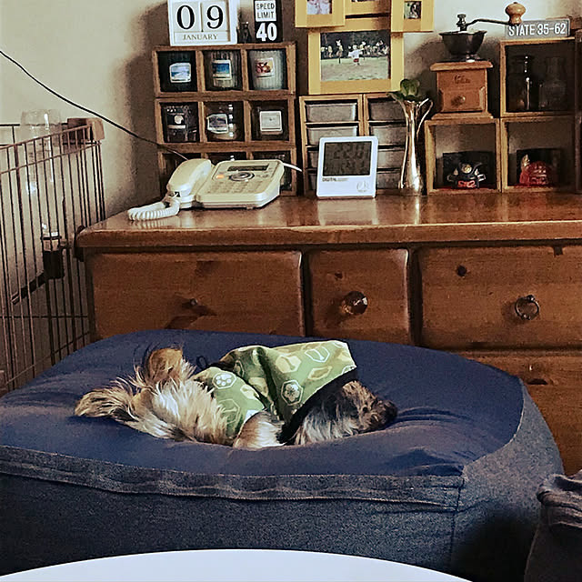 kimucciさんの実例写真