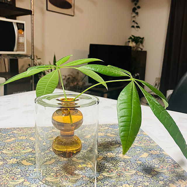 ansamさんの部屋