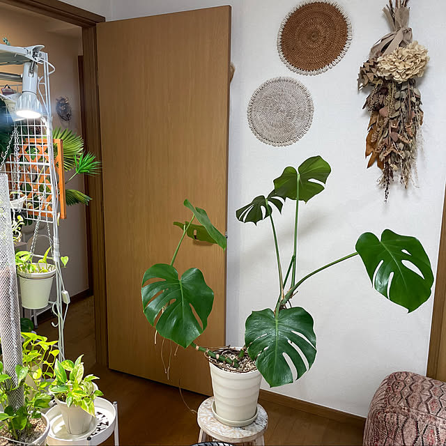 chi.pa.ruさんの部屋