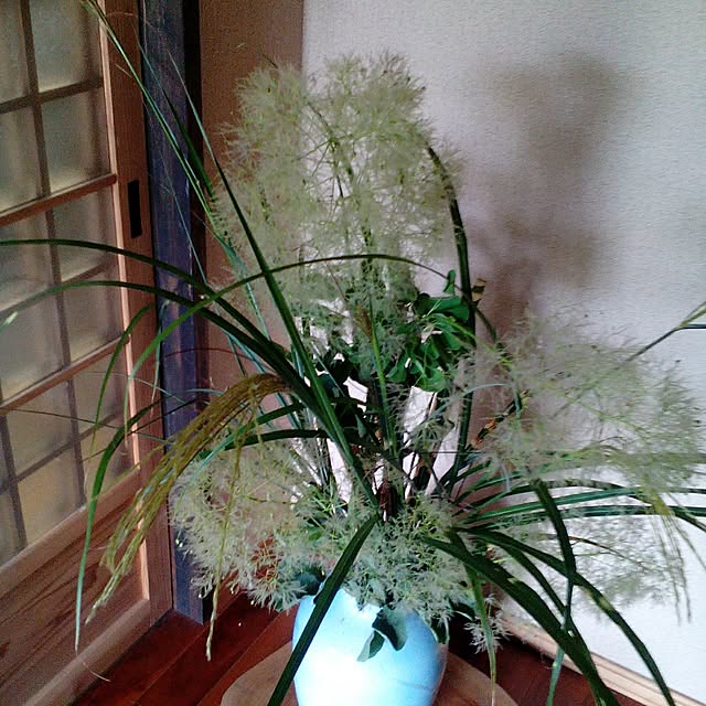 shusen.miyaさんの実例写真