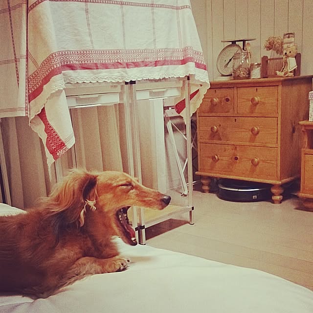 TOMOさんの実例写真