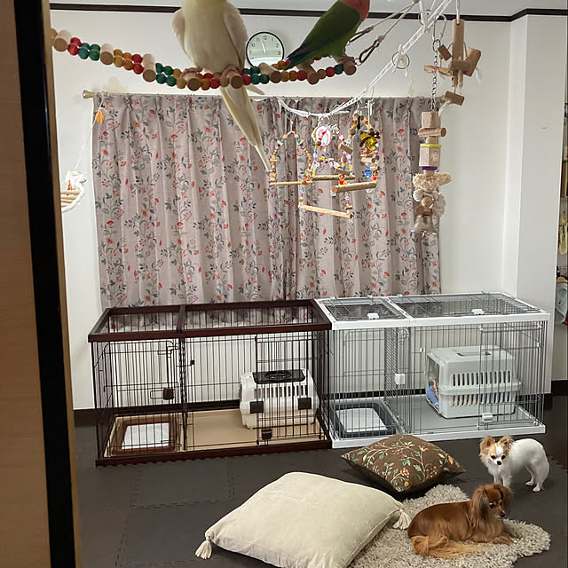toratanさんの部屋