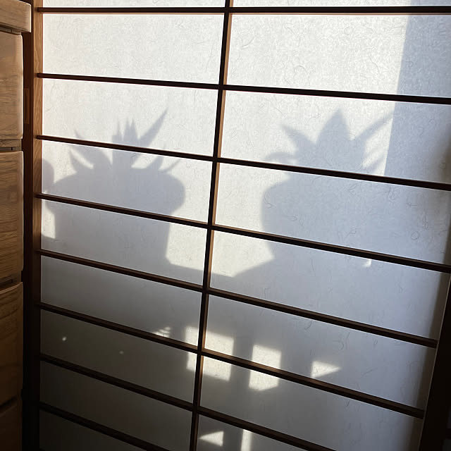 koshiregutyoさんの部屋