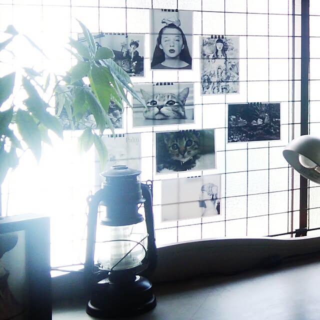naoさんの実例写真