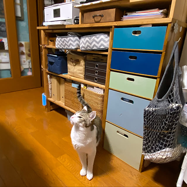 Lufuさんの実例写真