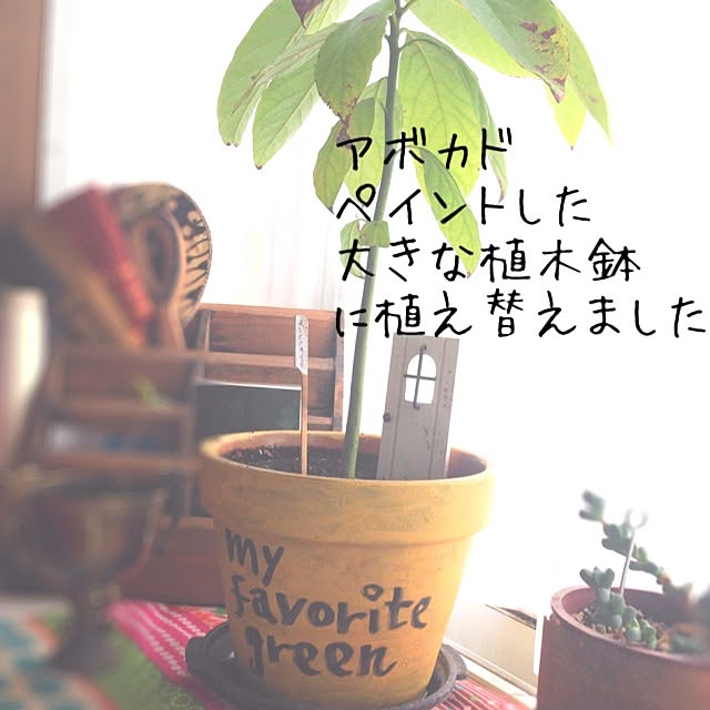 38coreさんの実例写真