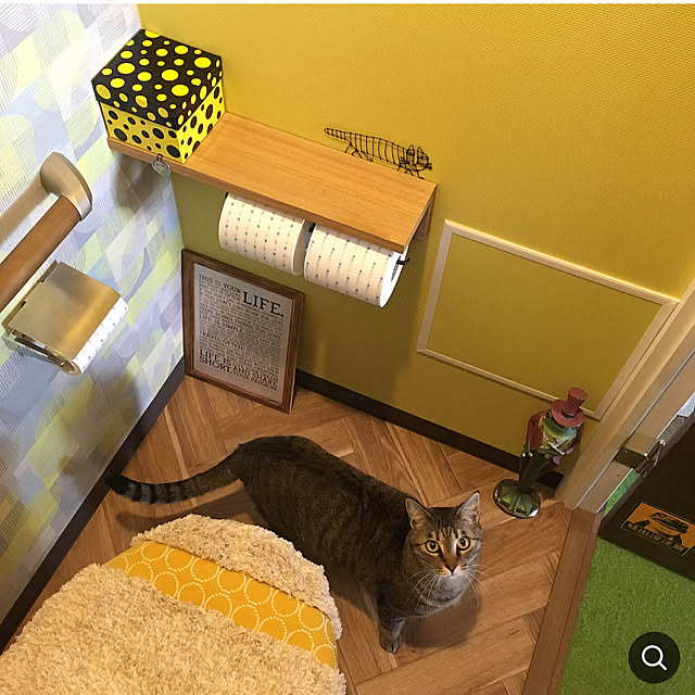 mikomaruさんの実例写真