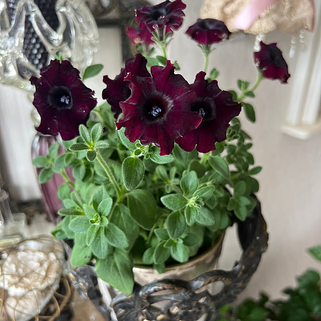 AYUKOさんの部屋