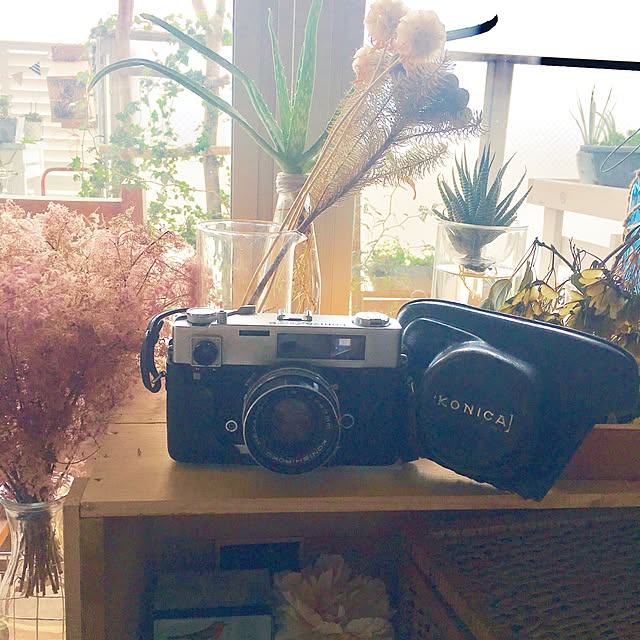 実例写真