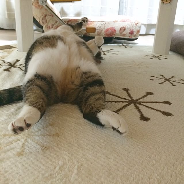 momijiさんの実例写真