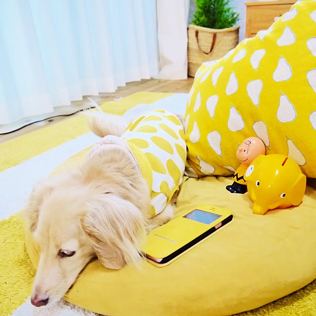 Erinさんの実例写真