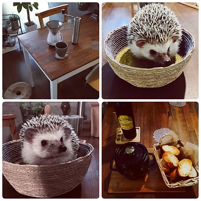 saokoさんの実例写真