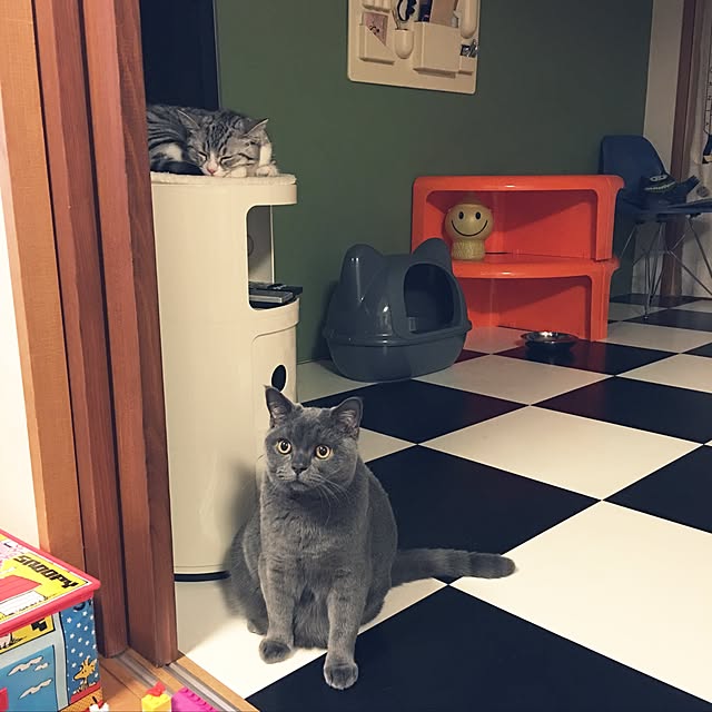 Shojiさんの実例写真