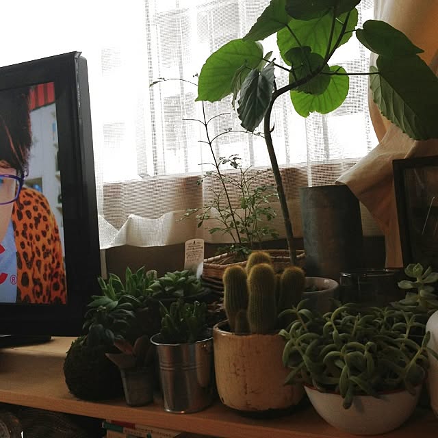 実例写真