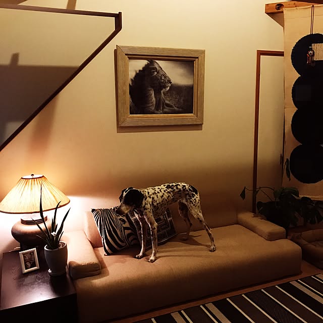 mm319さんの実例写真