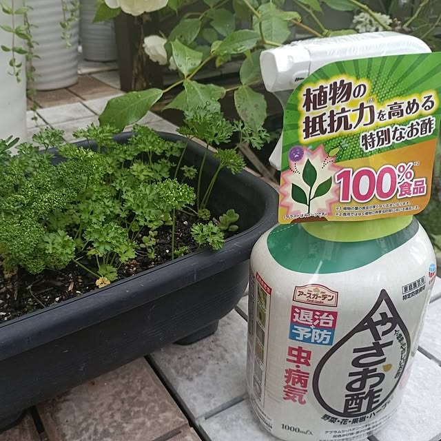 aiさんの実例写真