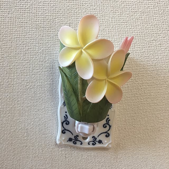 Tomokoさんの実例写真