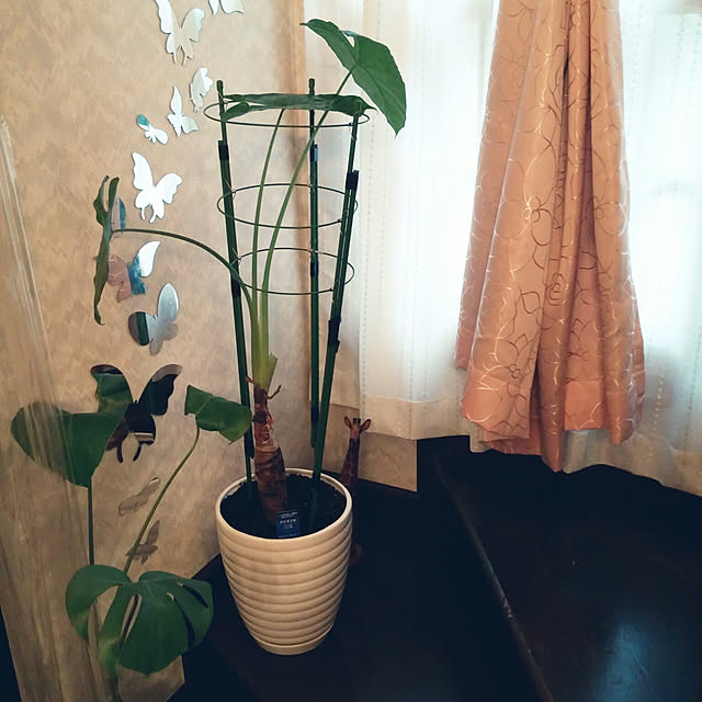Tさんの実例写真