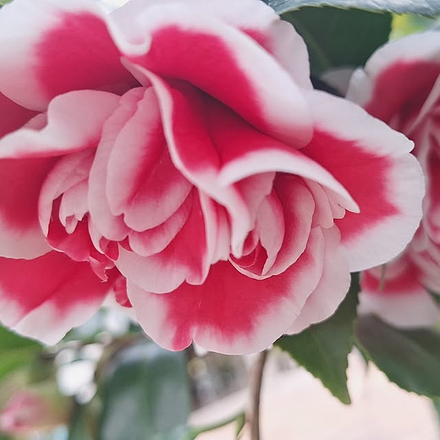 sami666さんの実例写真