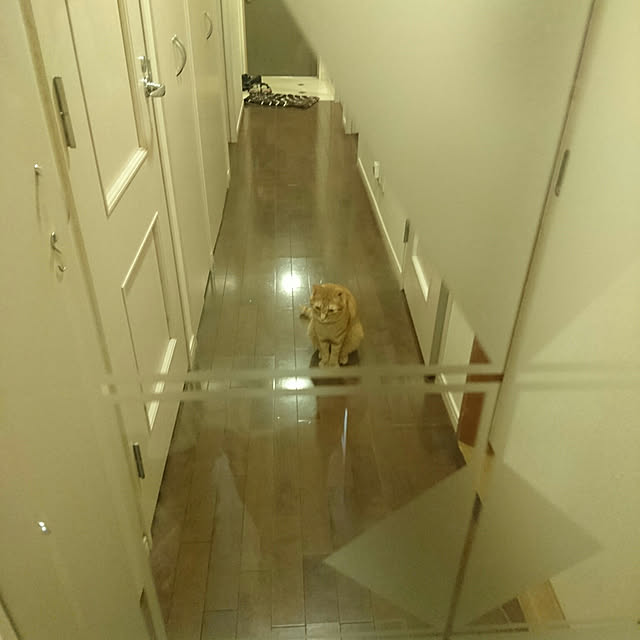 okyosan101さんの実例写真