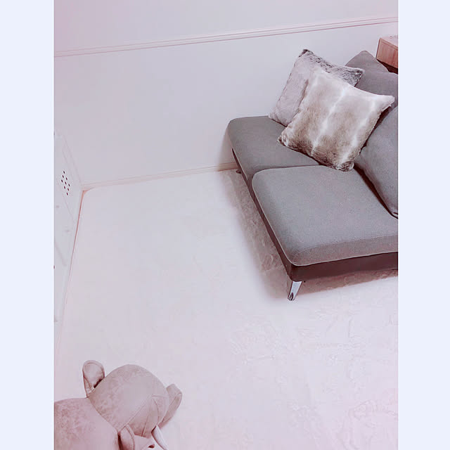 Ruiさんの実例写真
