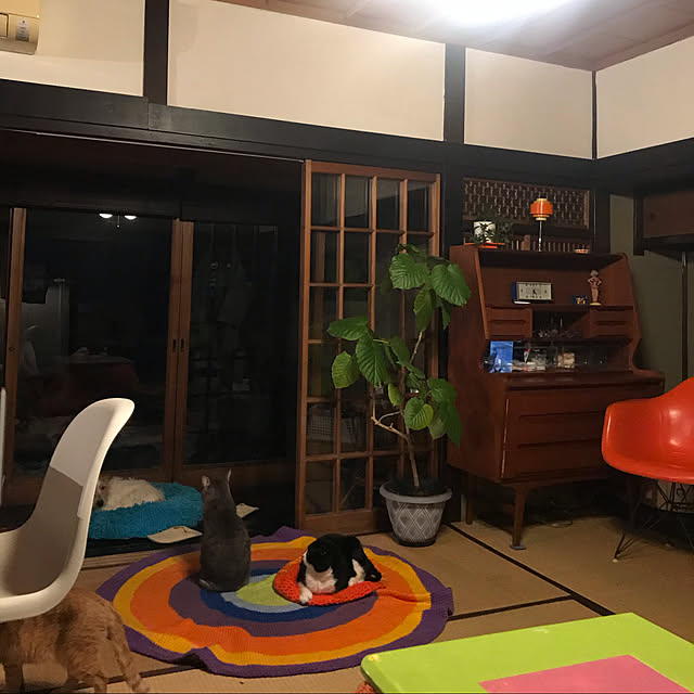 joshua.treeさんの実例写真