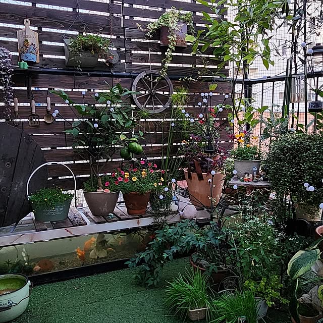 mikamaiさんの部屋