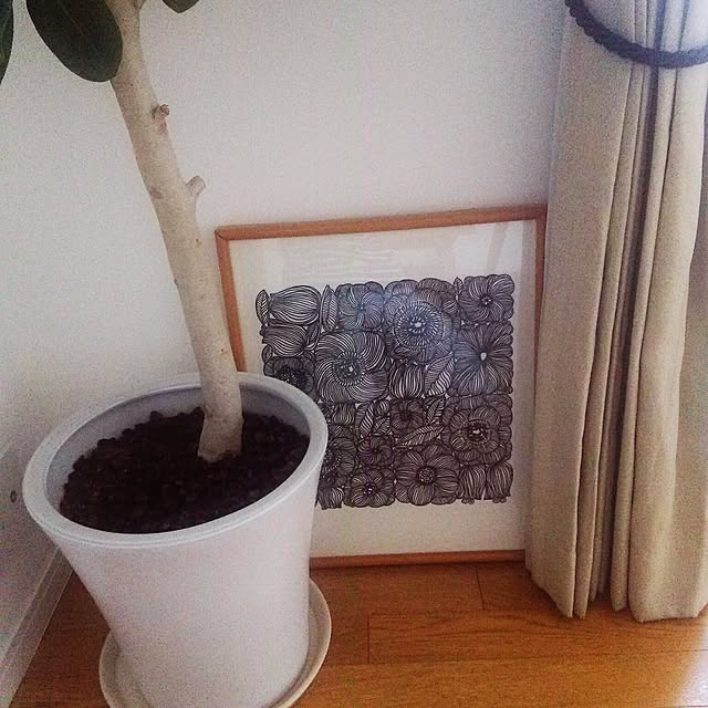 実例写真