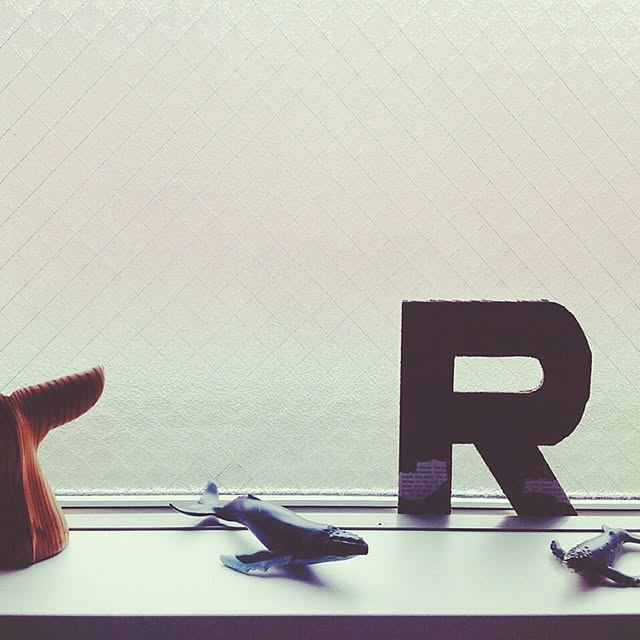 Rimiさんの実例写真