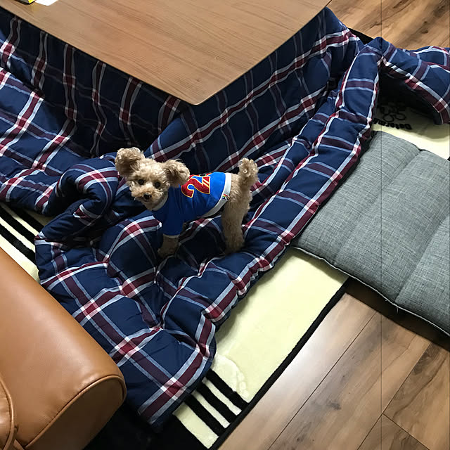 Royさんの実例写真