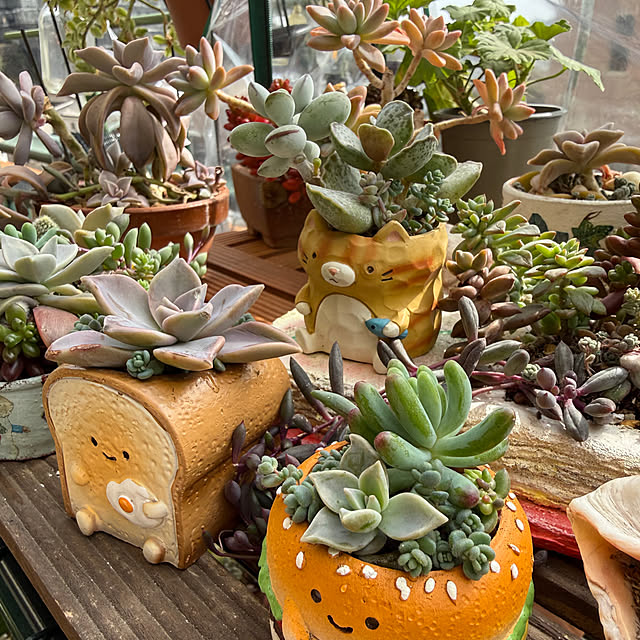 Aqettyさんの部屋